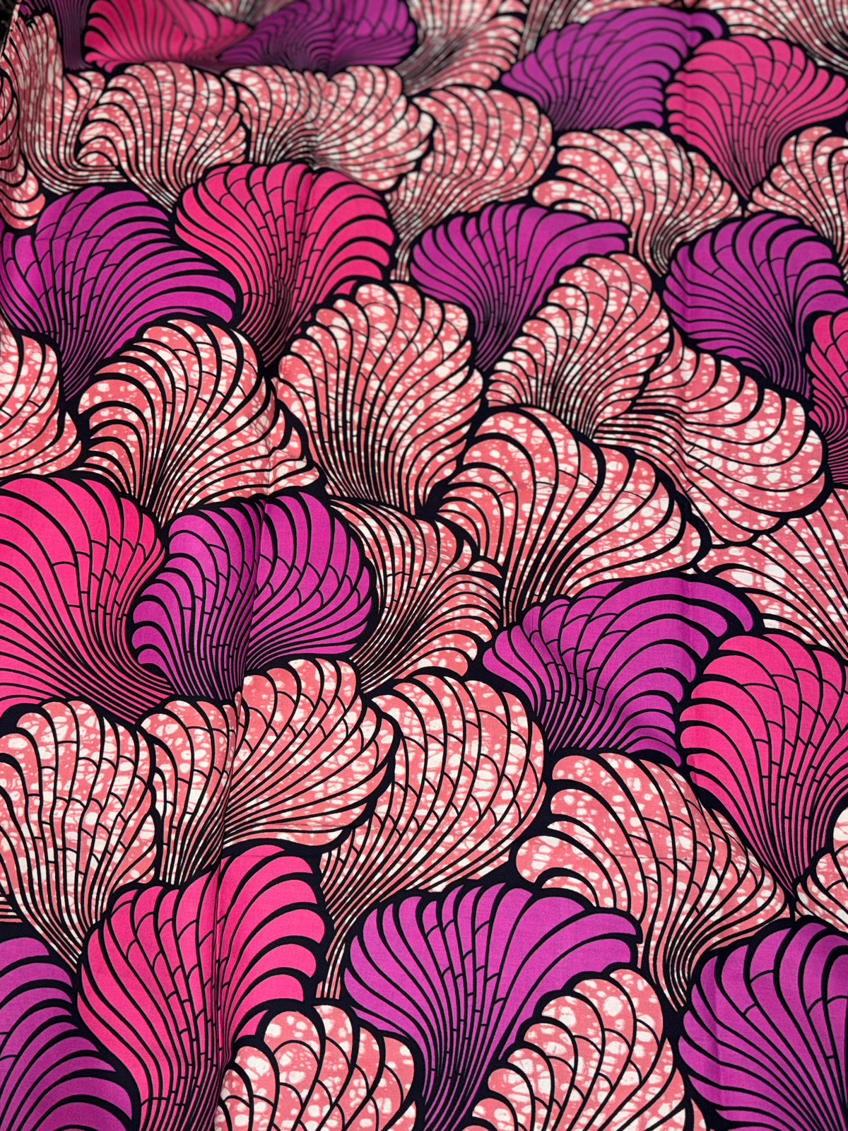 Wax - Coquillage